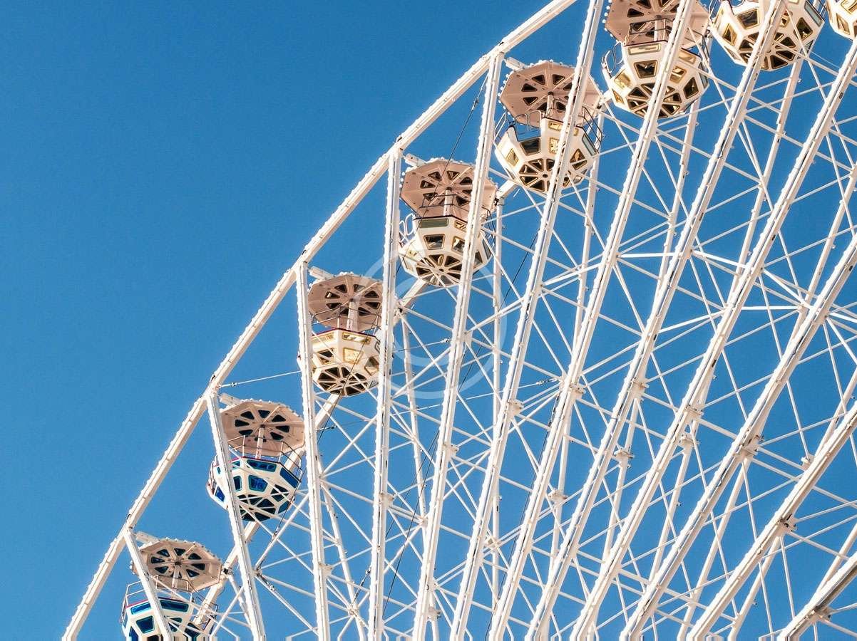 7 Things You Never Knew Existed