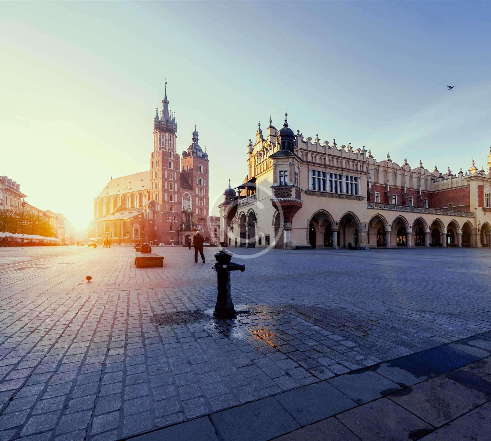 Informational City Portal is Officially Open