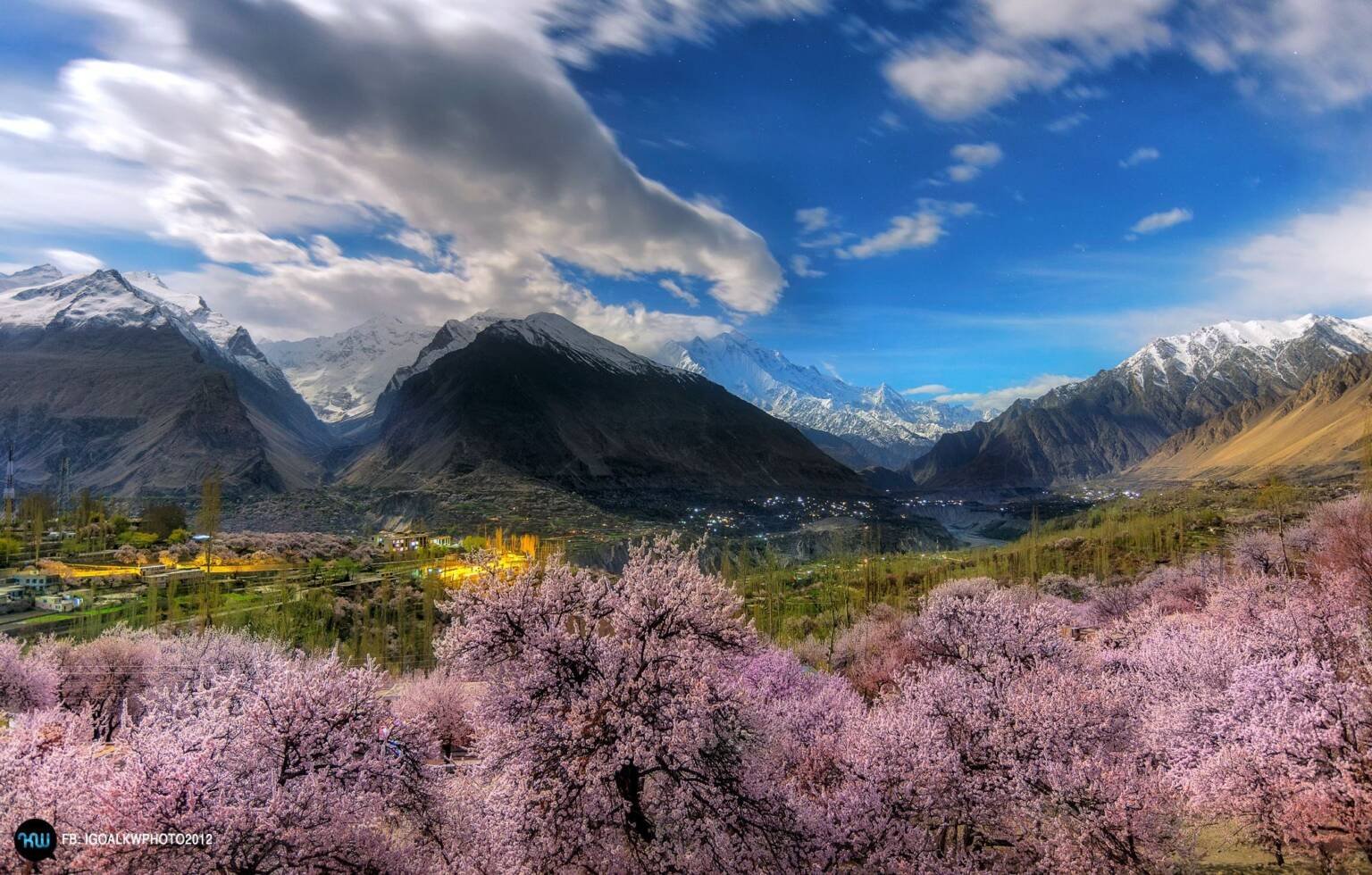 Experience the colors of spring blossom in Gilgit-Baltistan ...